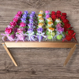 Vödröcskés szappanrózsa 